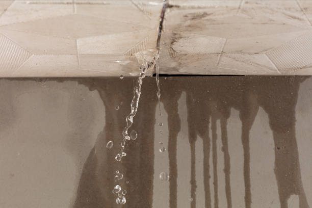 Professional Structural Drying technician working in Fall River, WI